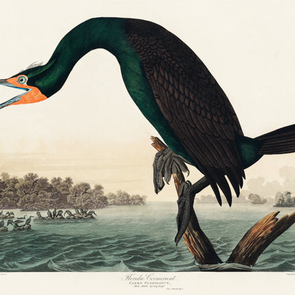 John James Audubon fabric panel