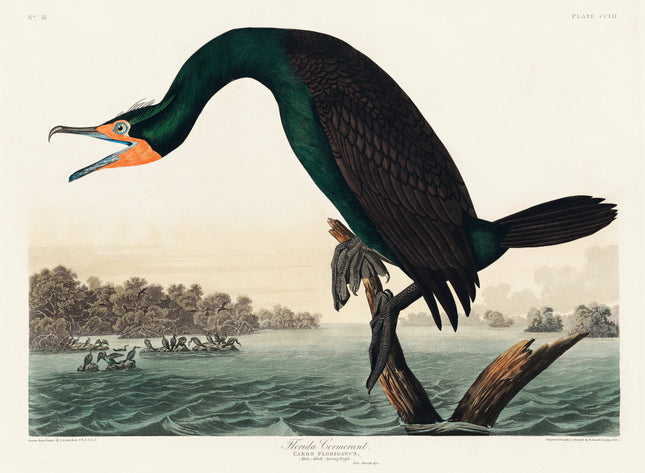 John James Audubon fabric panel