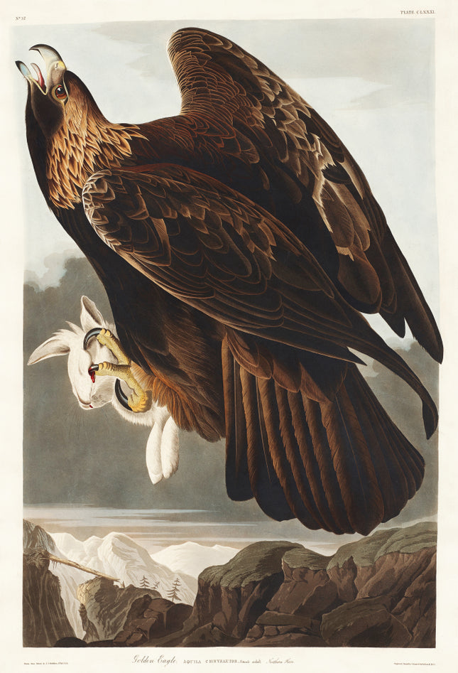 John James Audubon fabric panel