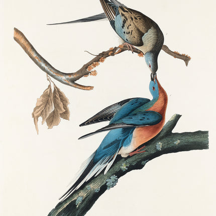 John James Audubon cotton fabric panel
