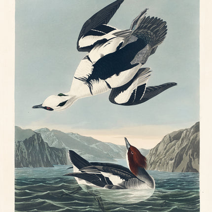John James Audubon cotton fabric panel