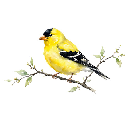 finch fabric panel