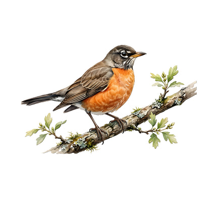robin quilt square
