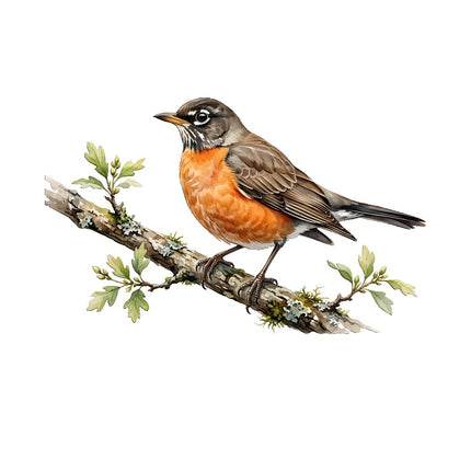 Robin Bird 100% Cotton Fabric Panel Block Quilt Square FLIP-AQ188