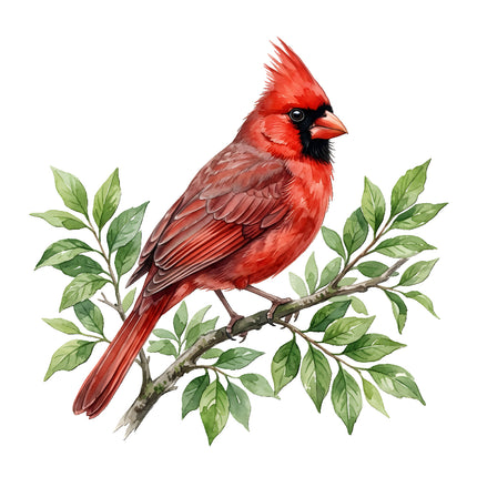 cardinal fabric panel