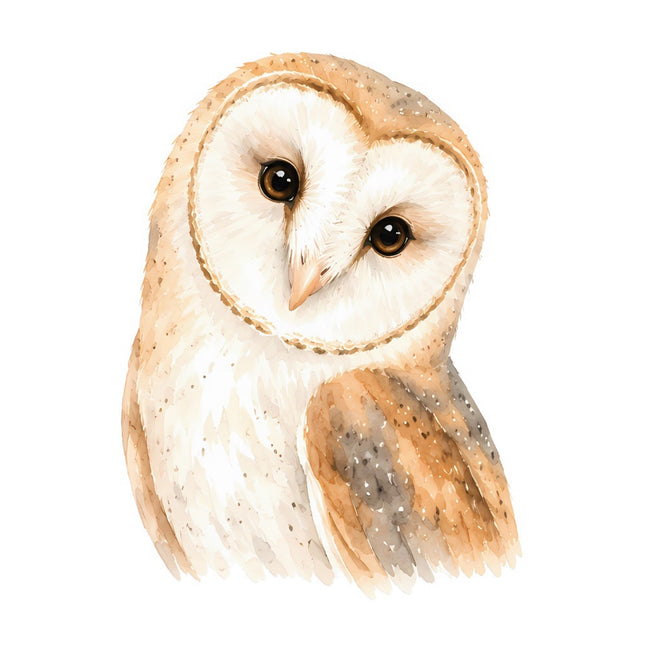 barn owl fabric panel square