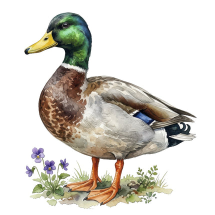 mallard duck quilt square