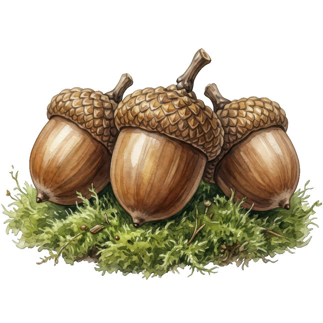 acorns fabric panel