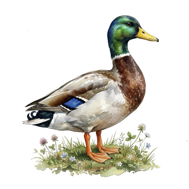 mallard duck quilt square
