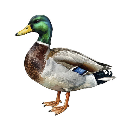 mallard duck fabric panel