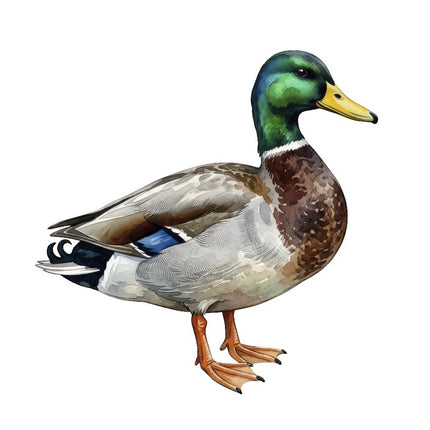 duck quilt block