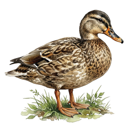 mallard fabric panel