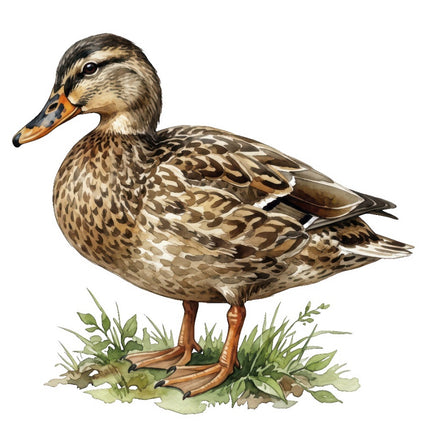 duck fabric panel