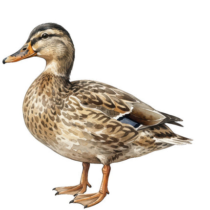 duck quilt block