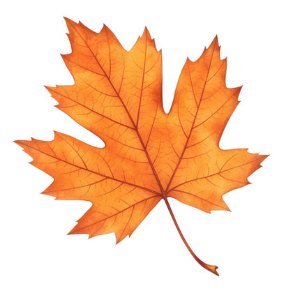 Autumn Fall Single Leaf 100% Cotton Fabric Panel Block FLIP-ART536