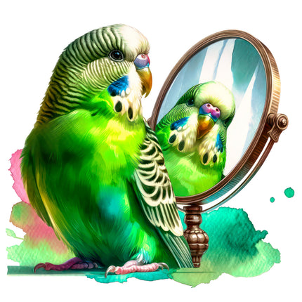 Colorful parrot looking at its reflection in a heart-shaped mirror.