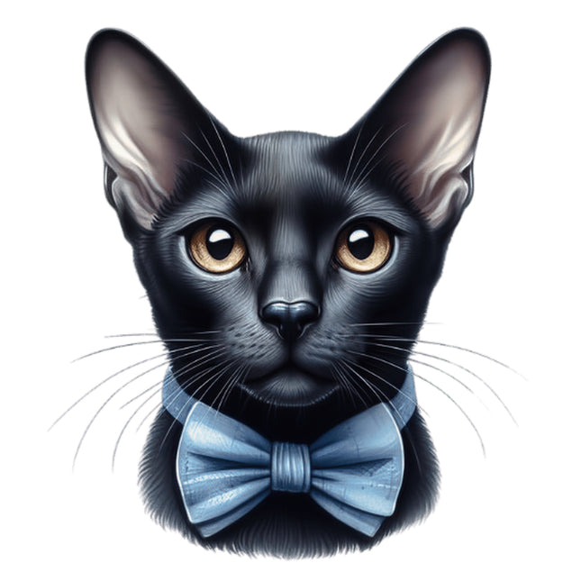 Black Cat 100% Cotton Fabric Panel Block BB22