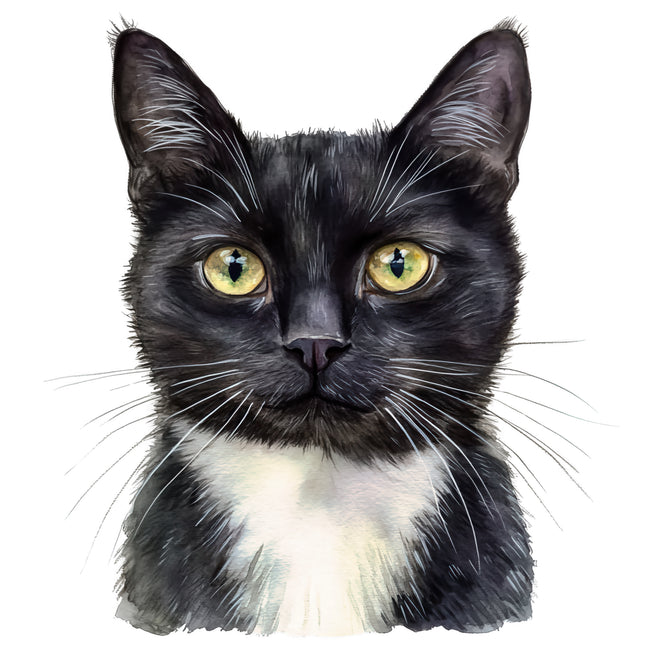 Black White Tuxedo Cat 100% Cotton Fabric Panel Block BB4903