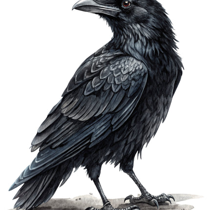 Raven 100% Cotton Fabric Panel Block CC296