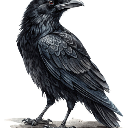 black crow fabric panel