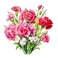 Collection image for: Carnations