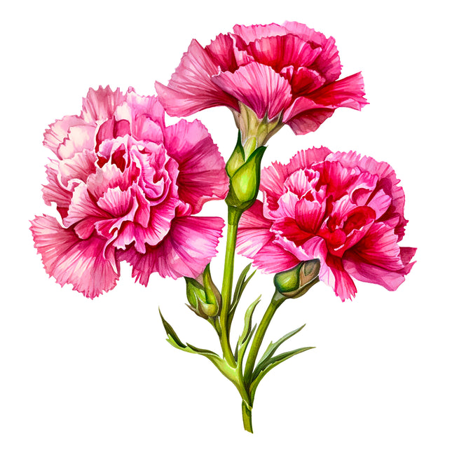 Pink Carnations 100% Cotton Fabric Panel Block DD7002