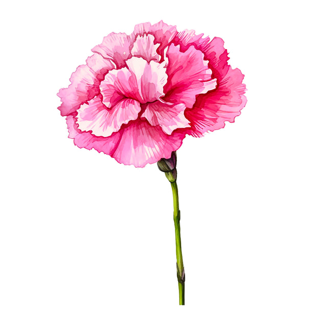 Pink Carnations Flower 100% Cotton Fabric Panel Block DD7020