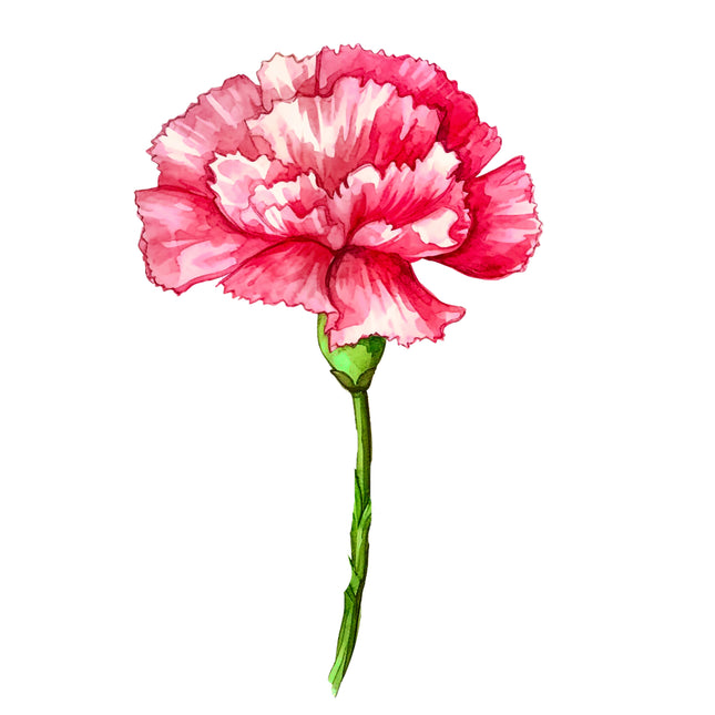 Pink Carnations Flower 100% Cotton Fabric Panel Block DD7023