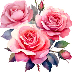 Collection image for: Roses