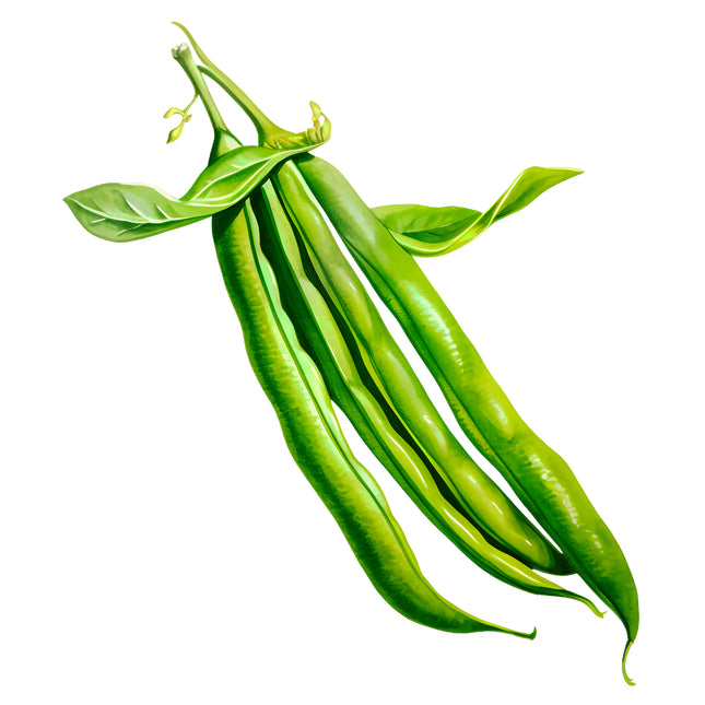 Green Beans 100% Cotton Fabric Panel Block EE1100