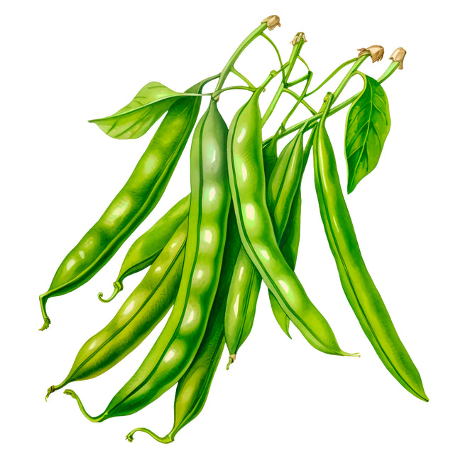 Green Beans 100% Cotton Fabric Panel Block EE1106
