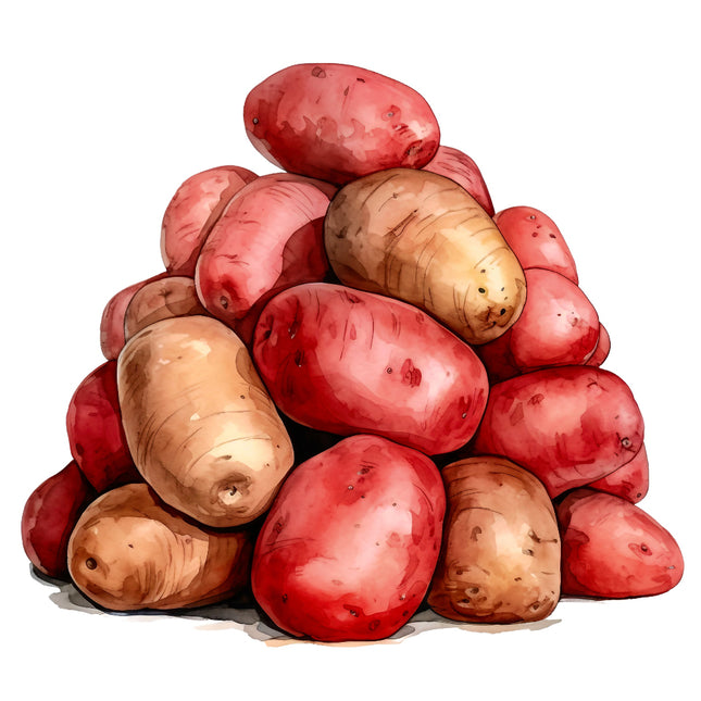 Potatoes 100% Cotton Fabric Panel Block EE1113