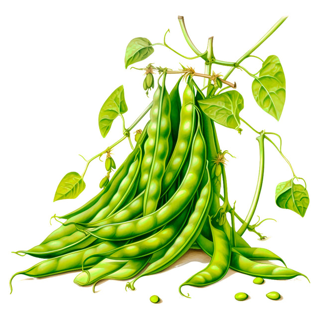 Green Beans 100% Cotton Fabric Panel Block EE1114