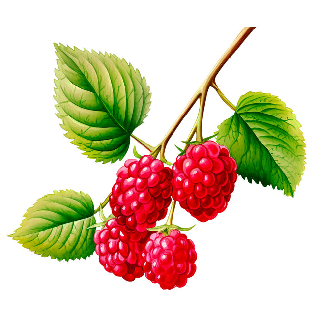 Raspberries 100% Cotton Fabric Panel Block EE239