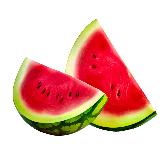 Watermelon 100% Cotton Fabric Panel Block EE255