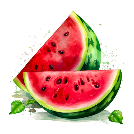 Watermelon 100% Cotton Fabric Panel Block EE256