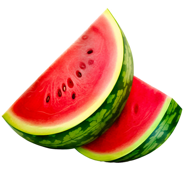 Watermelon 100% Cotton Fabric Panel Block EE258