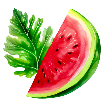 Watermelon 100% Cotton Fabric Panel Block EE260