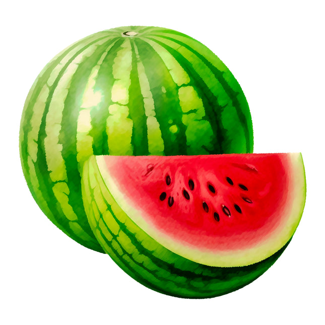 Watermelon 100% Cotton Fabric Panel Block EE264