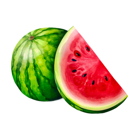 Watermelon 100% Cotton Fabric Panel Block EE265