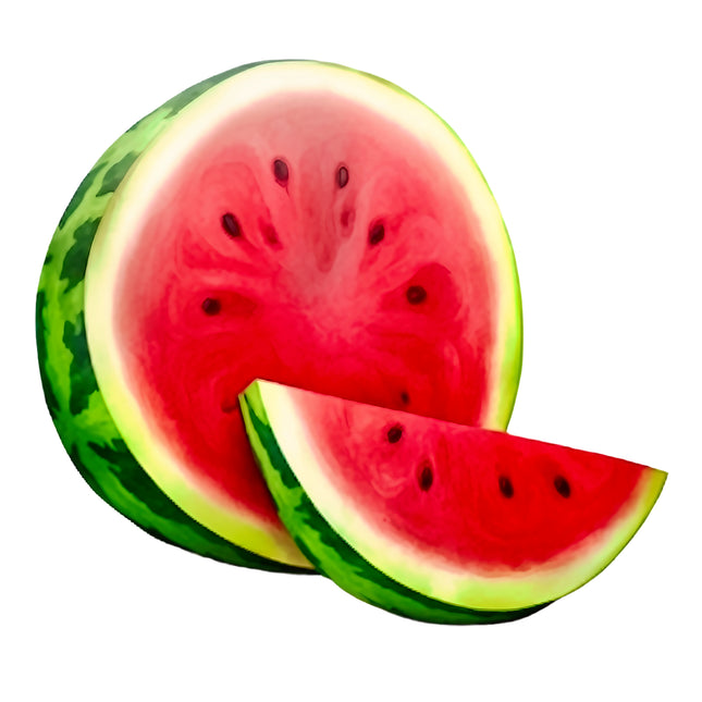 Watermelon 100% Cotton Fabric Panel Block EE266