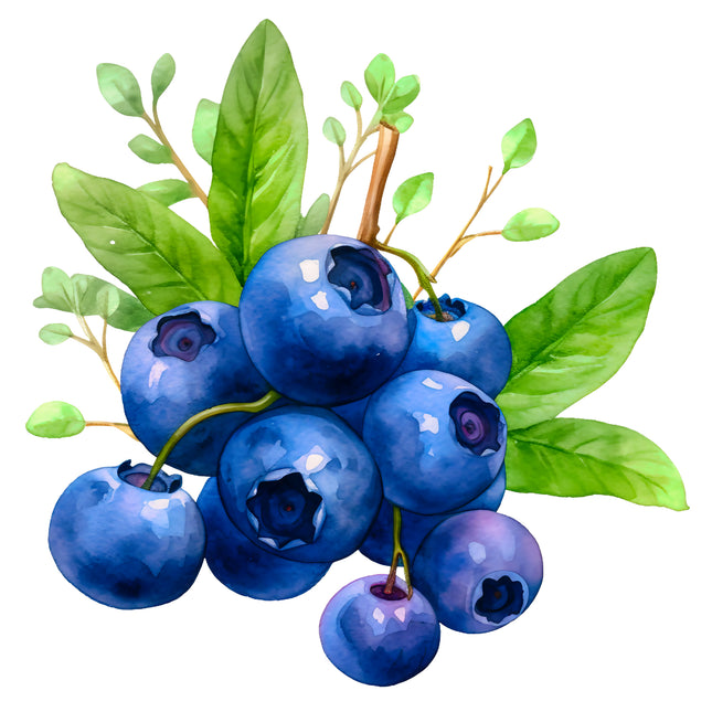 Blueberries 100% Cotton Fabric Panel Block EE275