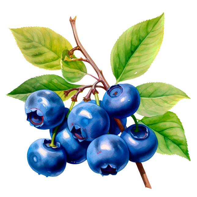 Blueberries 100% Cotton Fabric Panel Block EE276