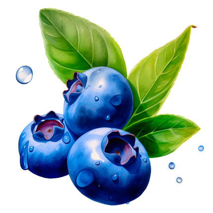 Blueberries 100% Cotton Fabric Panel Block EE277