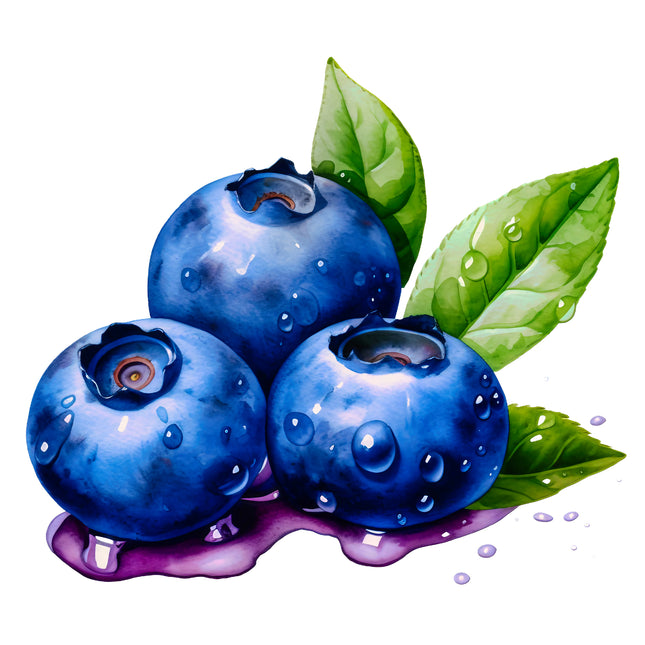 Blueberries 100% Cotton Fabric Panel Block EE278