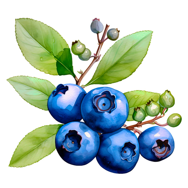 Blueberries 100% Cotton Fabric Panel Block EE280