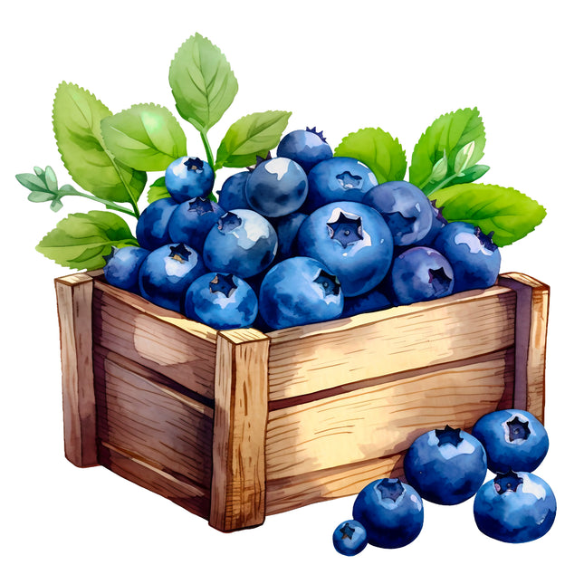 Blueberries 100% Cotton Fabric Panel Block EE281