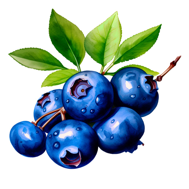 Blueberries 100% Cotton Fabric Panel Block EE282