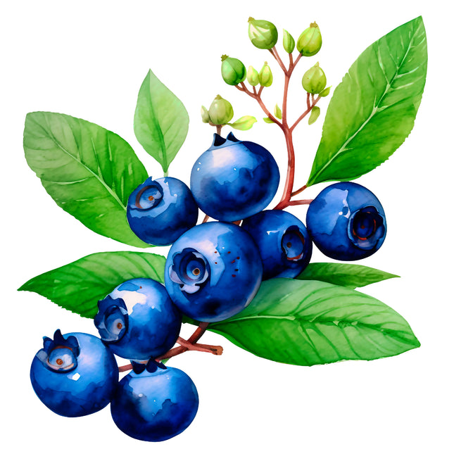 Blueberries 100% Cotton Fabric Panel Block EE283