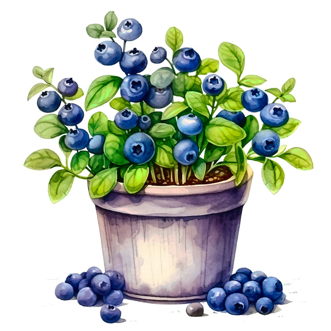 Blueberries Blueberry Bush 100% Cotton Fabric Panel Block EE290